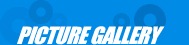 Bngo Empire's Picture Gallery
