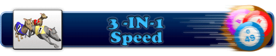 3 in 1 Speed Bingo